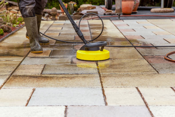 Best Solar Panel Cleaning  in Forest City, FL